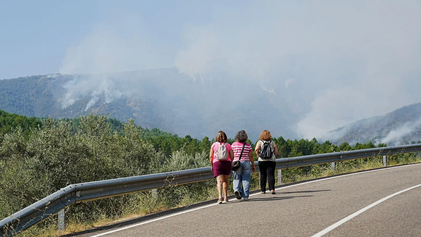 Rund 2.200 Hektar Pinienwald wurden verwüstet. (Foto: Carlos Criado/EUROPA PRESS/dpa)