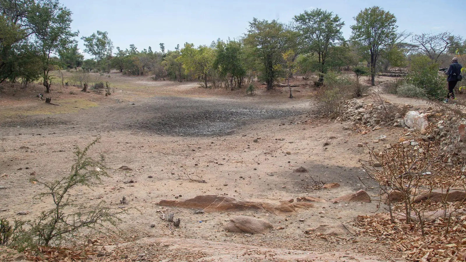 El Nino bringt Dürren in manchen Weltregionen (Archivbild) (Foto: Aaron Ufumeli/AP)