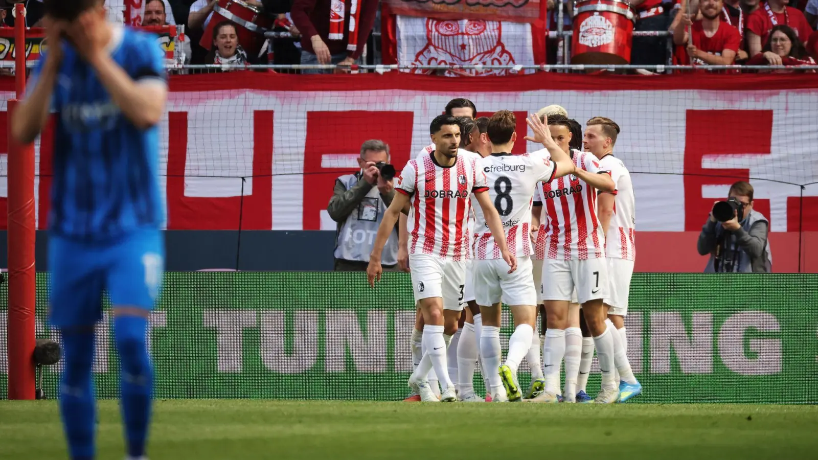 Jubel über die Führung: die Spieler des SC Freiburg. (Foto: Philipp von Ditfurth/dpa)