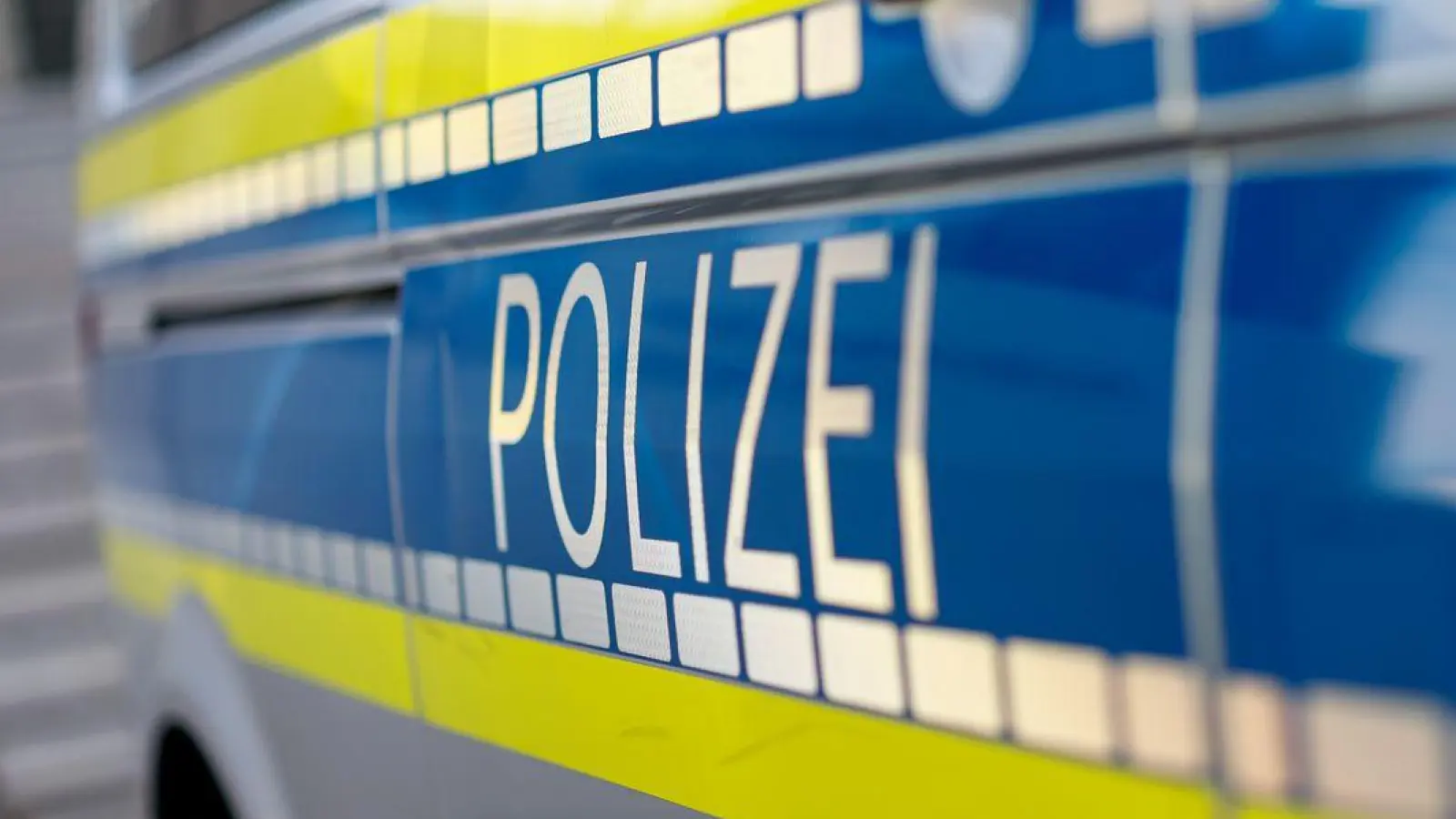 Die Beifahrerin erwartet eine Anzeige. (Archivbild) (Foto: Daniel Karmann/dpa)