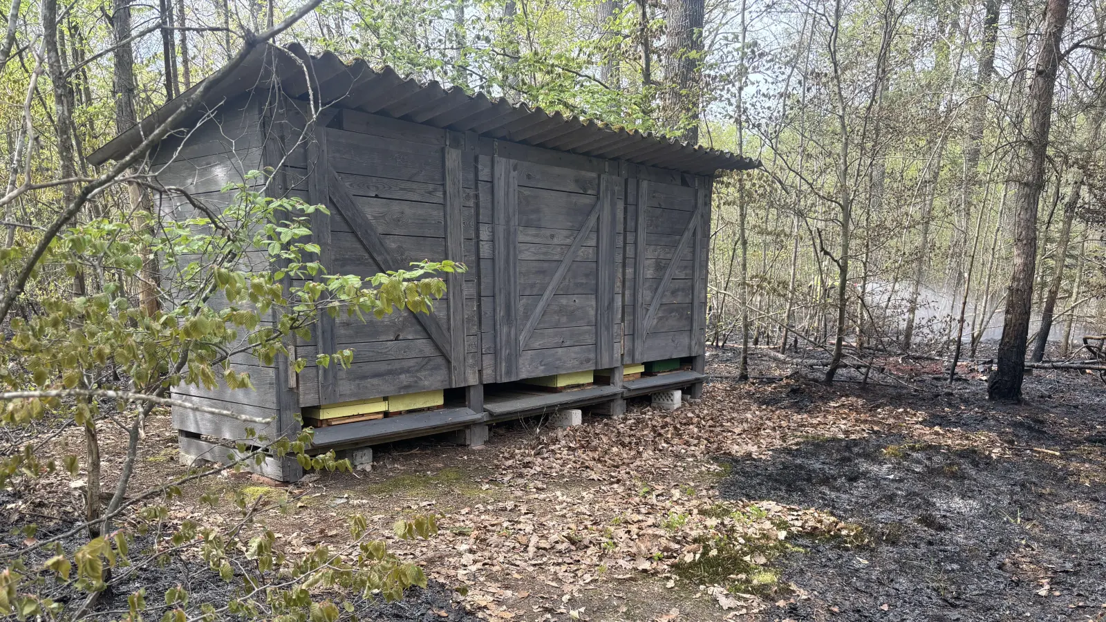 Die Ursache des Feuers ist noch unklar. Diese Hütte blieb unbeschädigt. (Foto: NEWS5 / Kevin Weddig)