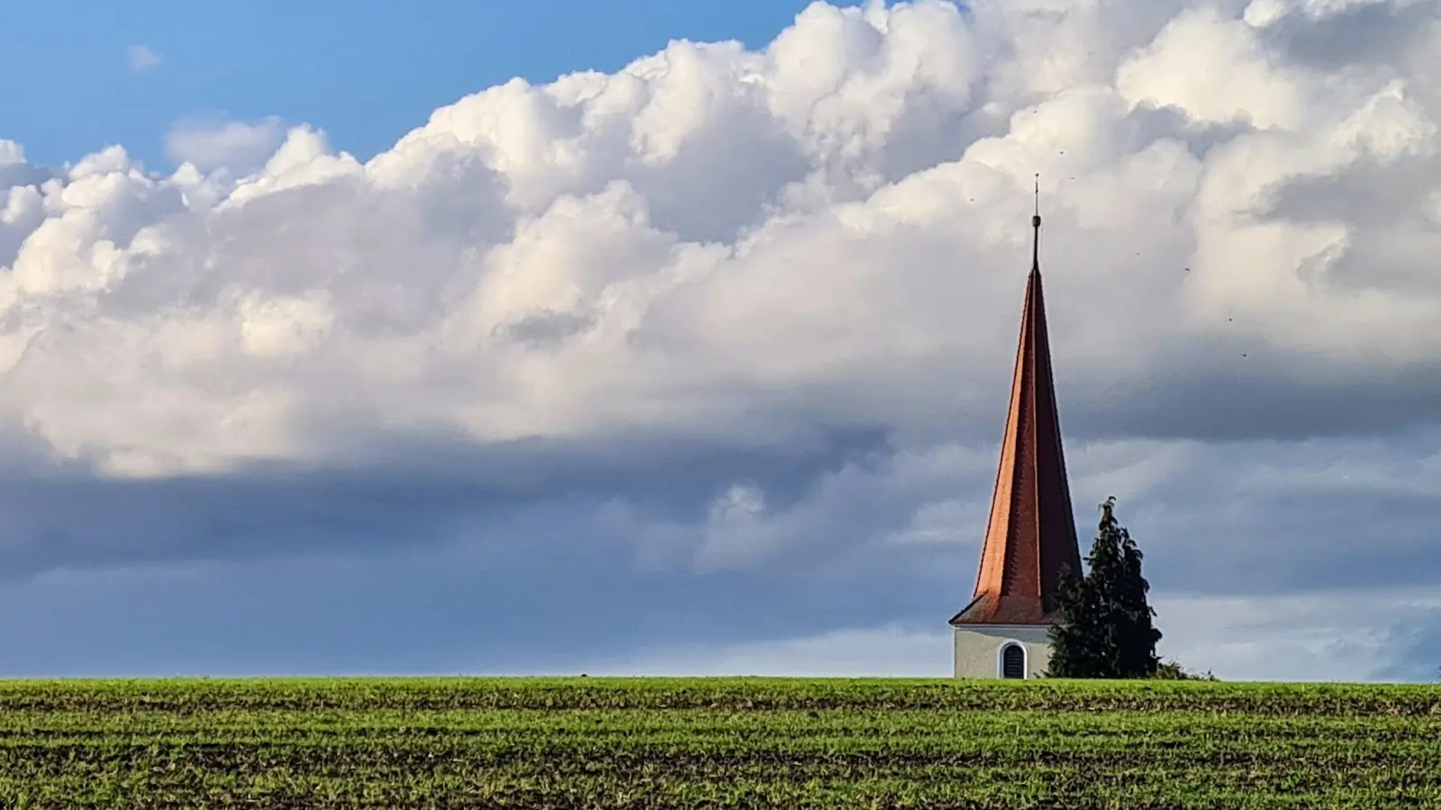 Hervorragend - gesehen bei Dottenheim. (Foto: Uschi Wendel)