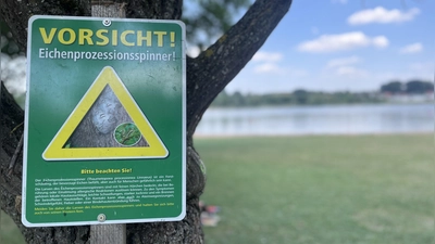 Vorsicht Eichenprozessionsspinner – wer ein Warnschild sieht, sollte sich nicht weiter nähren und Kinder und Haustiere vom Ort fernhalten. (Foto: Anna Beigel)