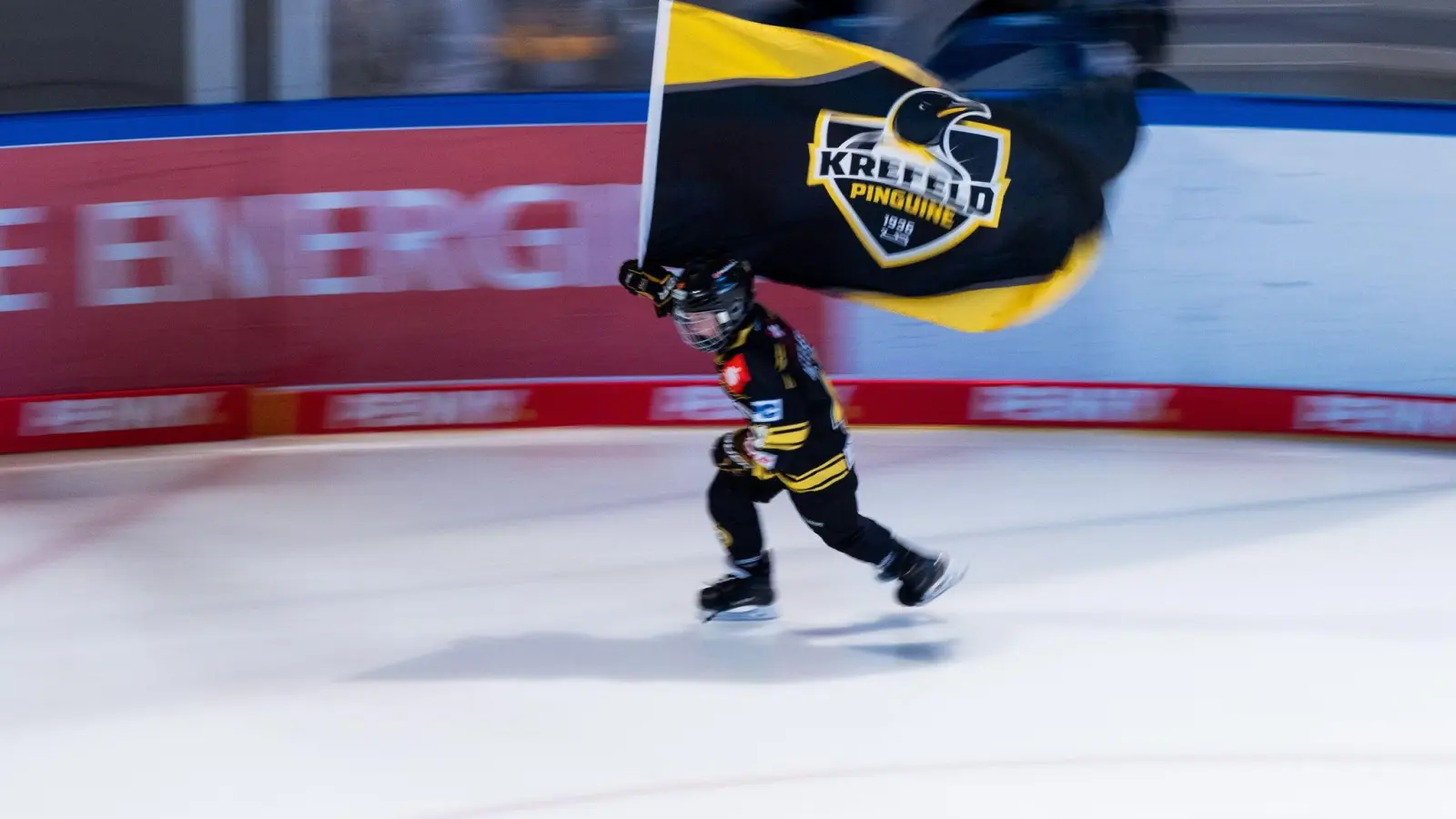 Die Krefeld Pinguine wollen vor das DEL-Schiedsgericht ziehen. (Foto: Rolf Vennenbernd/dpa)