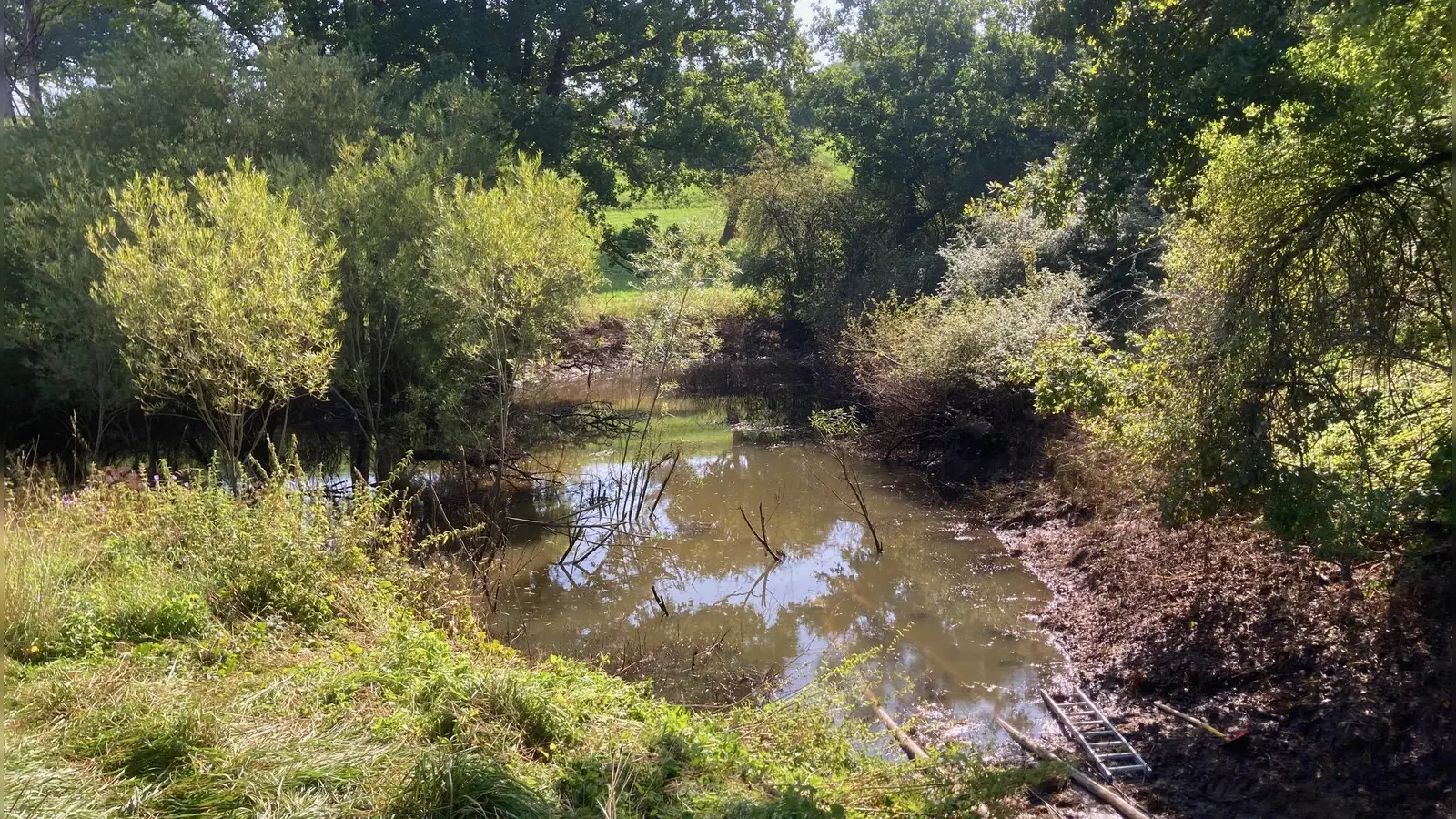 Für eine Überschwemmung hatte ein Biber bei Hirschbronn gesorgt. (Foto: Helmut Hartmann)