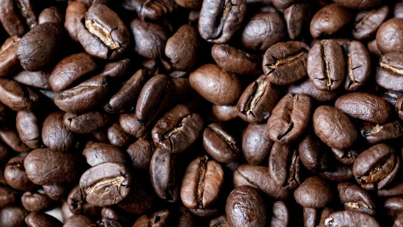 Geröstete Kaffeebohnen liegen auf einem Tisch. In der Woche vor Weihnachten senkt Aldi die Preise für Kaffee deutlich. Edeka, Rewe, Penny, Netto und Norma kündigten an, dem Beispiel zu folgen. (Foto: Fabian Sommer/dpa)