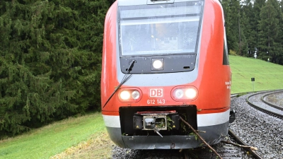 Das vordere Fahrgestell des Zuges sprang durch den Zusammenstoß aus den Gleisen. (Foto: David Pichler/swd-medien/dpa)