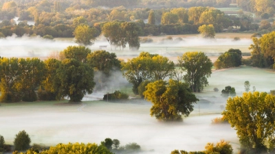  Bäume im Nebel: Dichte Nebelschwaden ziehen bei Sonnenaufgang durch die Leinemasch in der Region Hannover. (Foto: Julian Stratenschulte/dpa)