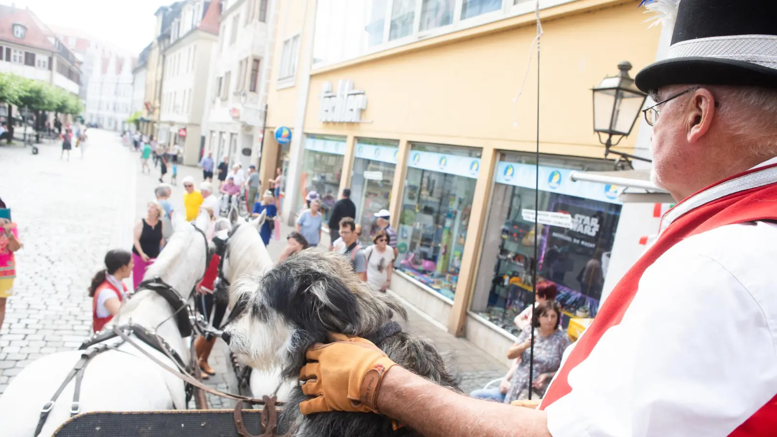 Der Hund beim Schwager vorn: ein Blick von der Kutsche beim Markttreiben zu den Rokoko-Festspielen. (Foto: Evi Lemberger)