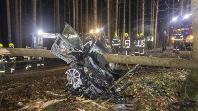 Feuerwehrleute betrachten das Auto im österreichischen Aurolzmünster, das in einen liegenden Baumstamm krachte. (Foto: Daniel Scharinger/APA/dpa)