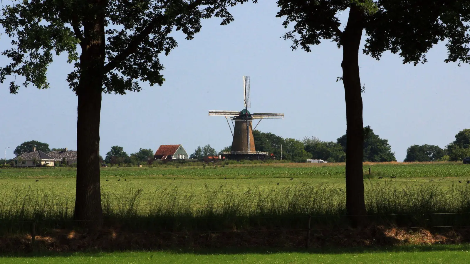 Windmühlen wie die Olde Mölle hat man in Achterhoek mitunter fast für sich: Touristenmassen sind hier nicht unterwegs.  (Foto: Bernd F. Meier/dpa-tmn)