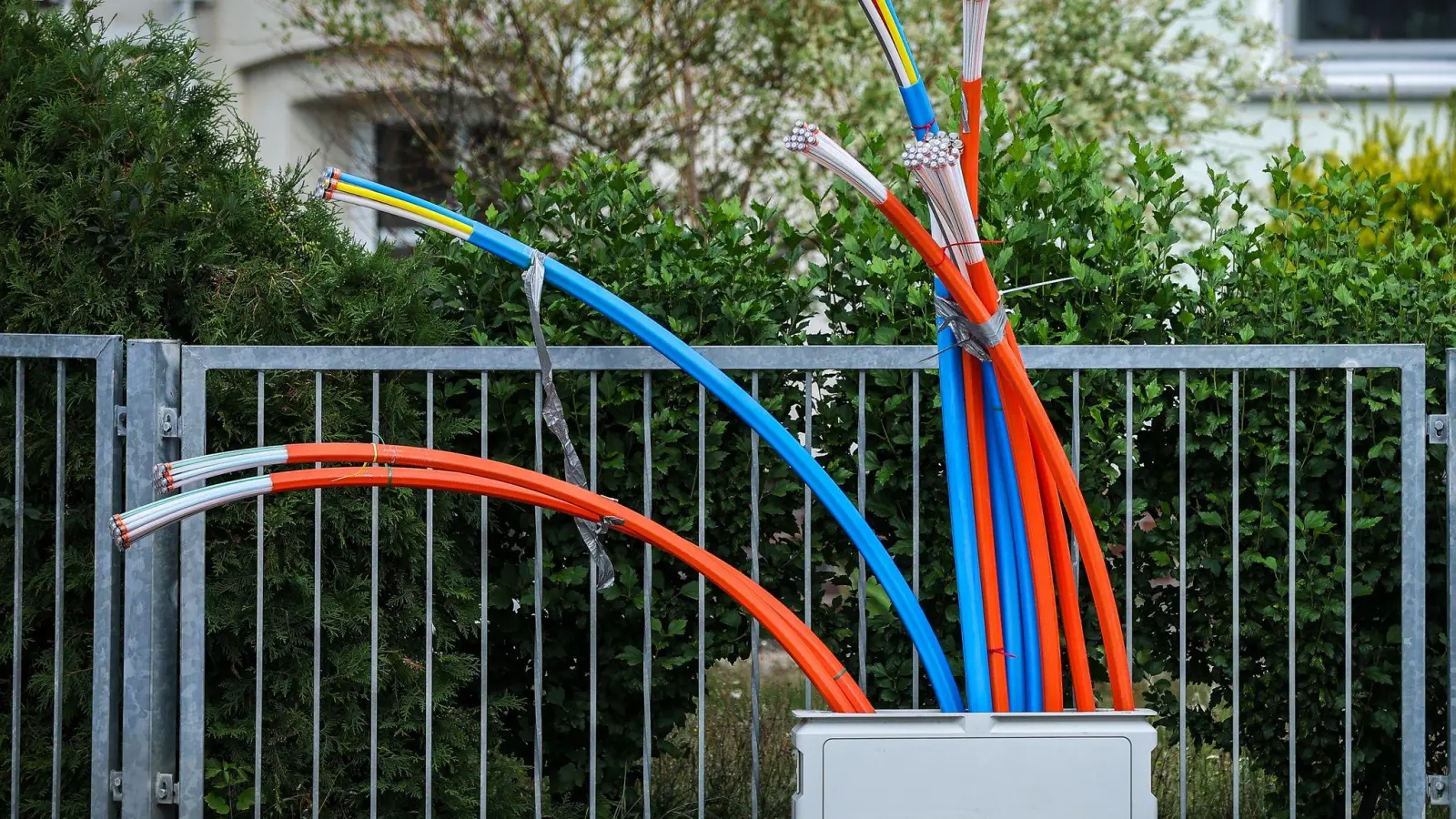 Glasfaser-Kabel an einem Schaltschrank. (Foto: Jan Woitas/dpa)