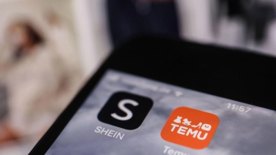 Shein und Temu sind zwei der bekanntesten asiatischen Shoppingplattformen. (Archivbild) (Foto: Oliver Berg/dpa)