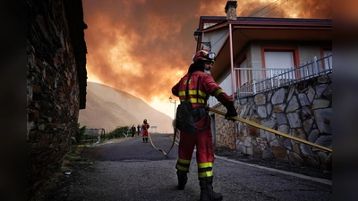 Während sich die Lage bei den Waldbränden in Spanien insgesamt leicht zu entspannen beginnt, wüten vor allem in Kastilien und León sowie in Galicien noch immer große Brände. (Archivbild) (Foto: Xuan Cueto/EUROPA PRESS/dpa)