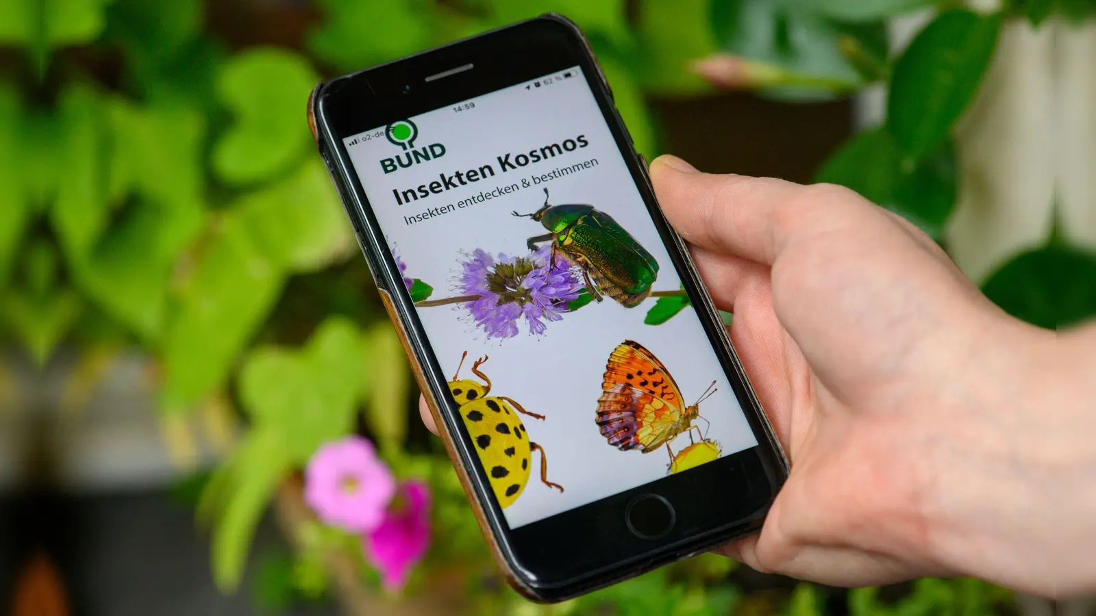 Die App „BUND Insekten Kosmos“ hilft beim Bestimmen heimischer Insektenarten - in der Basisversion ist sie kostenlos. (Foto: Klaus-Dietmar Gabbert/dpa-tmn)