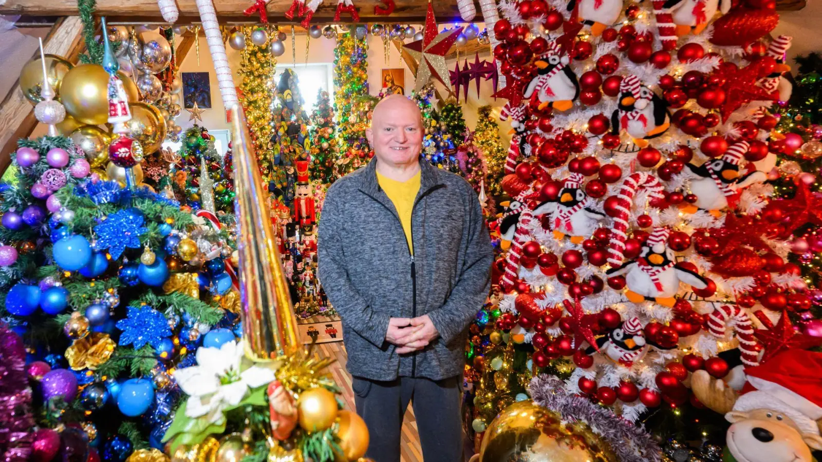 Thomas Jeromin steht inmitten von Weihnachtsbäumen in seinem Haus im Landkreis Schaumburg.  (Foto: Julian Stratenschulte/dpa)