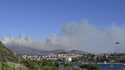 Das auf einem Acker ausgebrochene Feuer soll sich durch starken Wind auf umliegende Büsche und Wälder ausgebreitet haben. (Foto: Anne Pollmann/dpa)