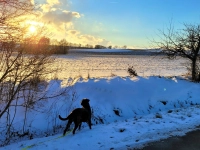 Farbenspiel mit Wintersonne - gesehen bei Lohr (Foto: Heinz Schopf)