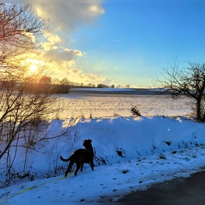 Farbenspiel mit Wintersonne - gesehen bei Lohr (Foto: Heinz Schopf)