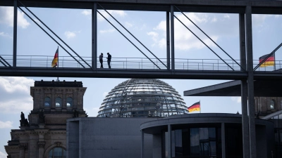 Die AfD will sich dem Votum des Ältestenrates nicht beugen. (Archivbild) (Foto: Hannes P. Albert/dpa)