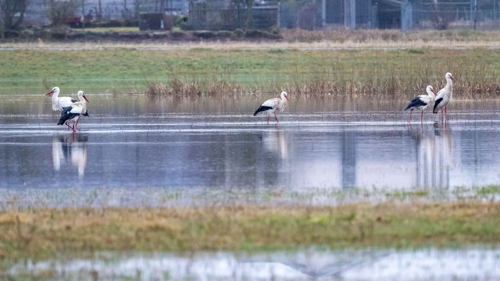 An eigenen Pegeln in Bayern ist die Meldestufe 3 überschritten. (Foto: Pia Bayer/dpa)