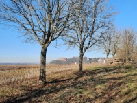 Von der Sonne beschienen – gesehen bei Schillingsfürst (Foto: Marion Ott)