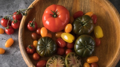 Lassen sich einfach und in wenigen Schritten nachziehen: Tomaten. (Foto: Christin Klose/dpa-tmn)