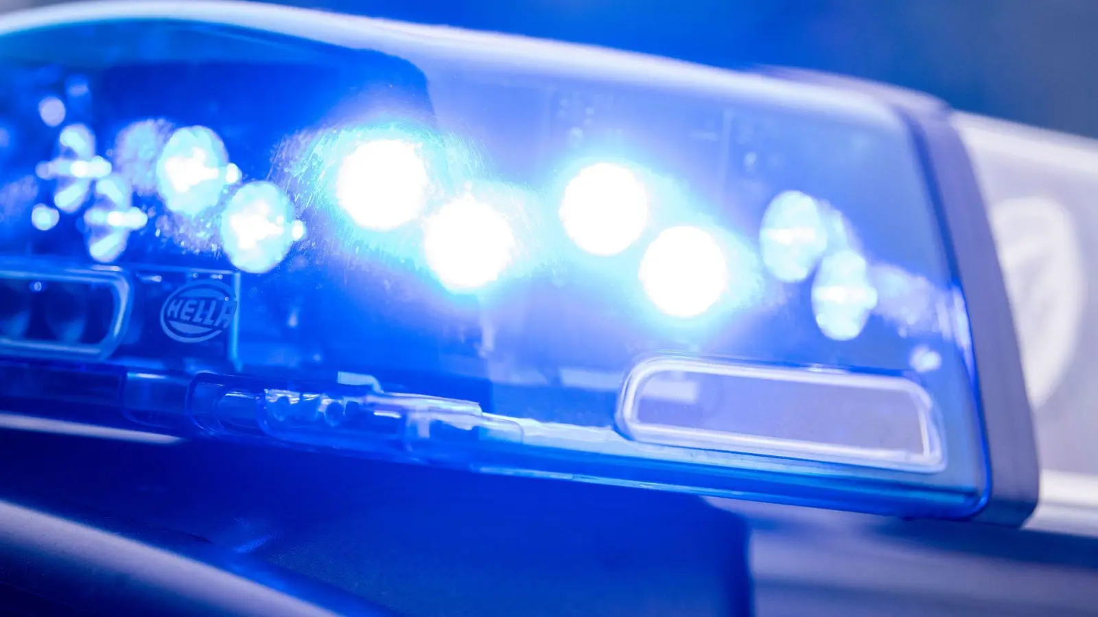 Die Polizei sucht nach Zeugen des Diebstahls. (Symbolbild) (Foto: Lino Mirgeler/dpa)