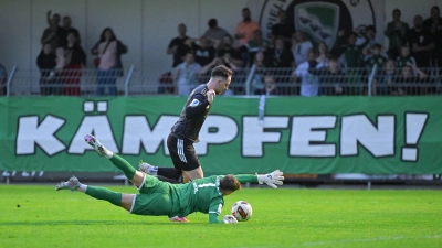 Der Auftrag der Fans im Xaver-Bertsch-Sportpark war klar. Kämpfen ist nicht das Problem des Regionalligisten SpVgg Ansbach (hier Dino Nuhanovic mit Gästetorwart Maximilian Reil). (Foto: Martin Rügner)