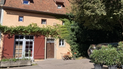 Das Thema Stadtbegrünung wurde im Klimabeirat diskutiert. Auch die Fassadenbegrünung trage einen Teil zur Klimaverbesserung bei, so Dennis Geißler, und verwies auf Fördermöglichkeiten. (Foto: Clarissa Kleinschrot)