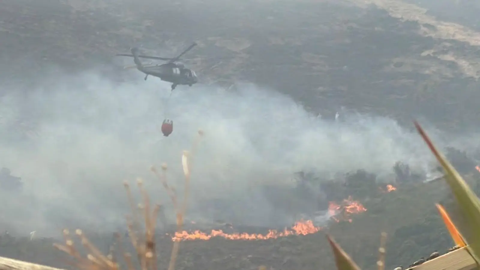 Hunderte Einsatzkräfte sind an der Bekämpfung der Flammen beteiligt. (Foto: colprensa / Akt. Bifu/Colprensa/dpa)
