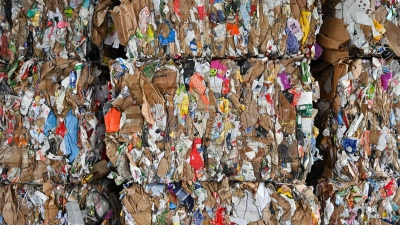 Aus altem Papier lässt sich neues machen. (Foto: Patrick Pleul/dpa-Zentralbild/ZB)