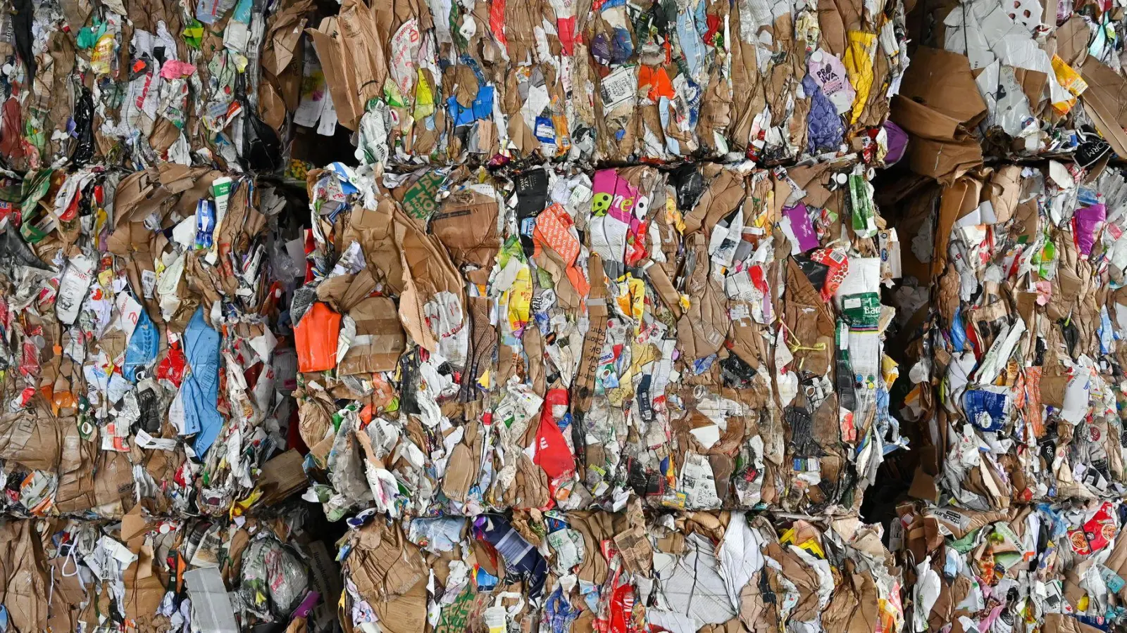 Aus altem Papier lässt sich neues machen. (Foto: Patrick Pleul/dpa-Zentralbild/ZB)