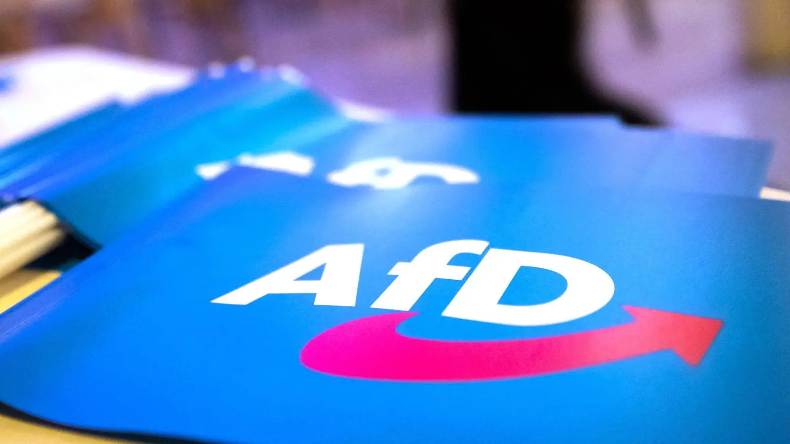 Die AfD hatte sich vor Gericht gegen die Beobachtung durch den Verfassungsschutz gewehrt. (Symbolbild) (Foto: Daniel Karmann/dpa)