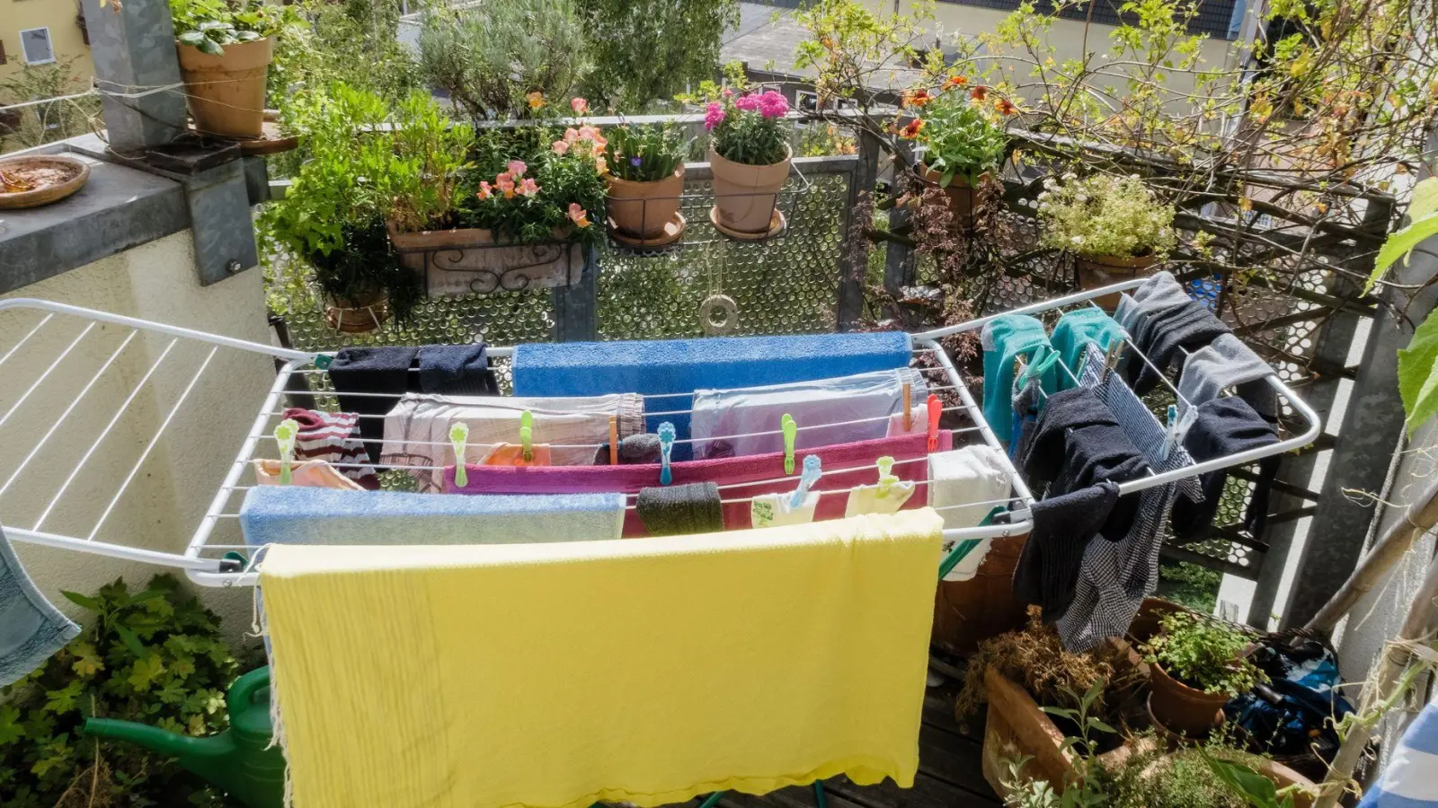 Solange die Wäsche beim Trocknen keine Beeinträchtigung für andere darstellt, kann das Mietern und Wohnungseigentümern nicht untersagt werden. (Foto: Markus Scholz/picture alliance/dpa-tmn)