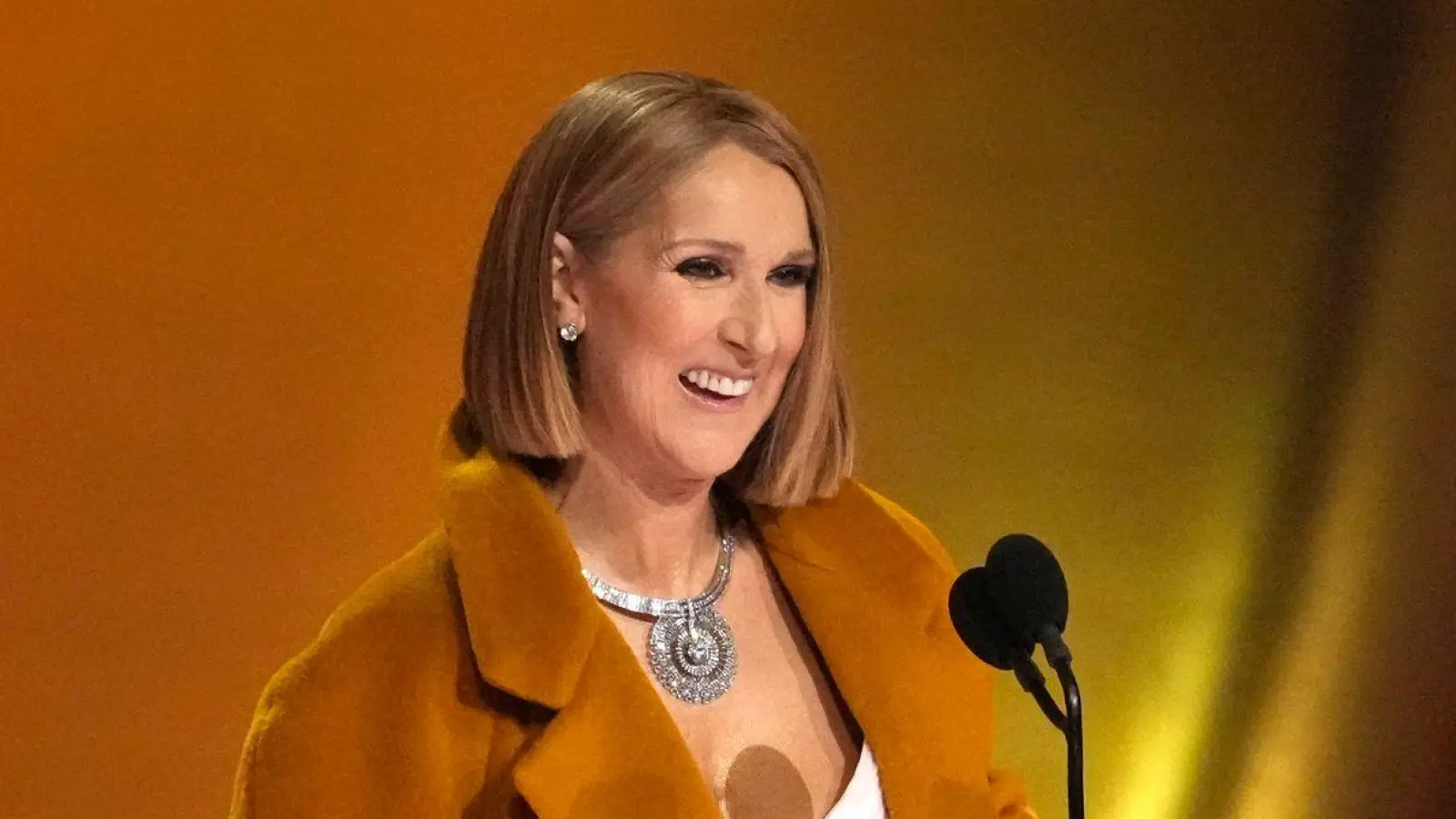 Céline Dion hat ein Interview über ihre Krankheit gegeben. (Foto: Chris Pizzello/Invision/AP/dpa)