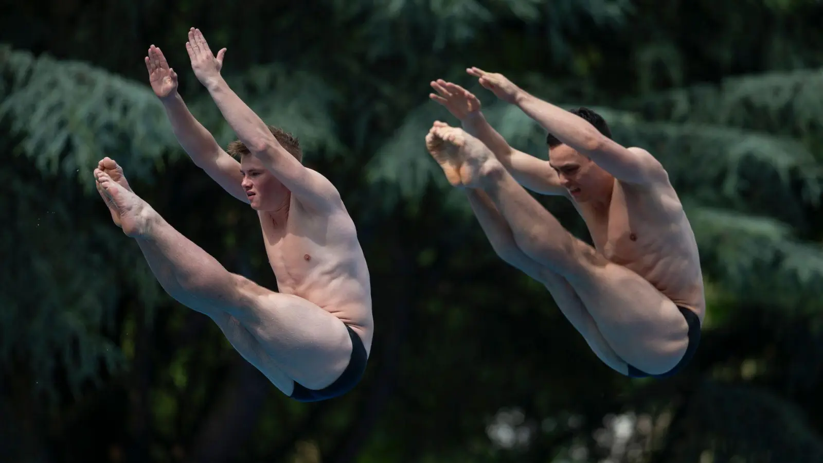 Das erfordert Körperspannung: Die deutschen Synchronspringen Jonathan Schauer (l) und Lou Massenberg (r) zeigen bei der Schwimm-EM in Belgrad ihr Können. (Foto: Marko Drobnjakovic/AP/dpa)