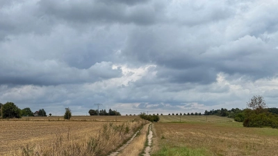 Dunkle Wolken und Gewitter ziehen nach der Vorhersage des Deutschen Wetterdiensts aus Westen heran. (Archivbild)  (Foto: Jan Woitas/dpa)