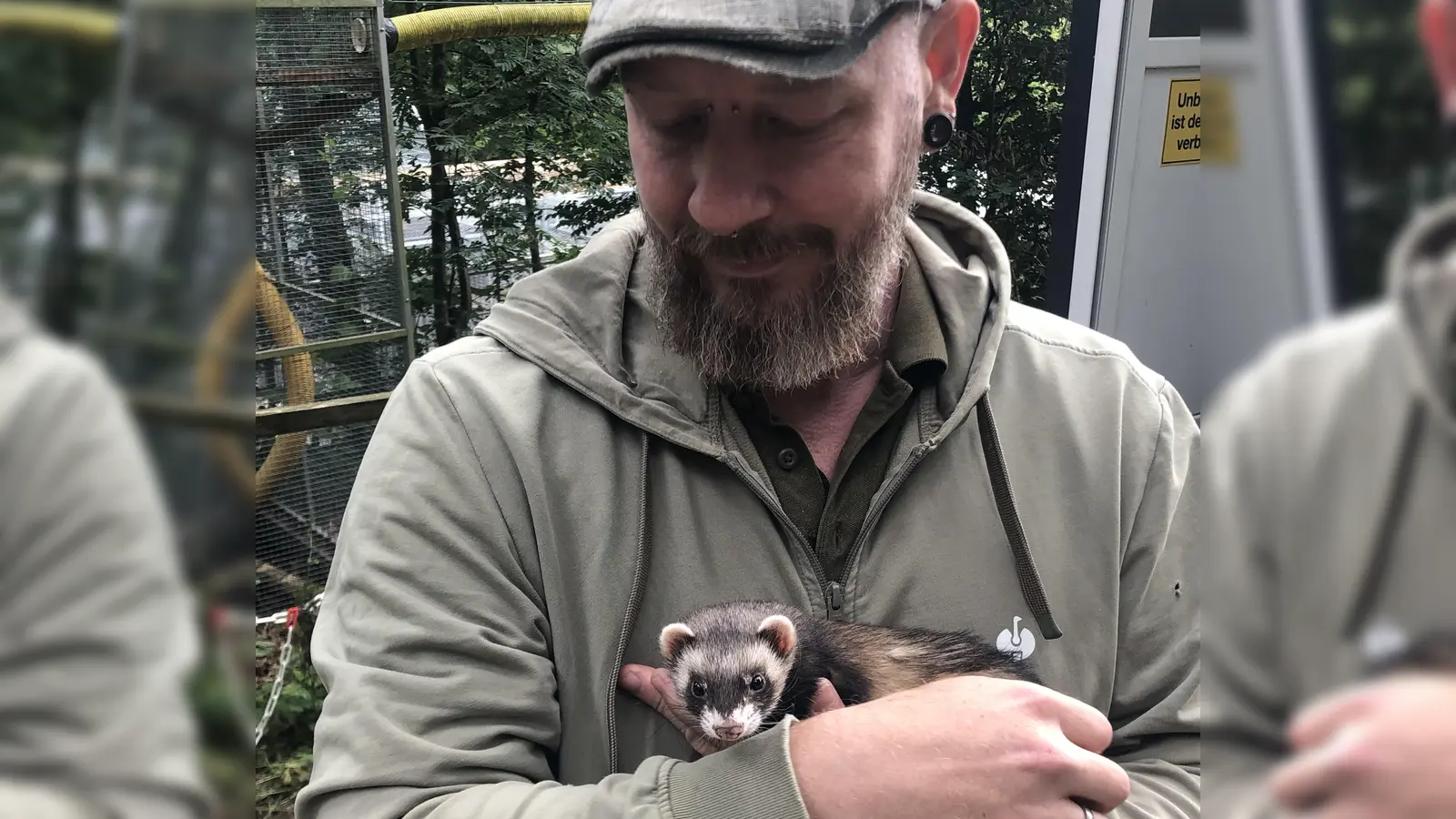 Ein Frettchen auf dem Arm von Manuel Buck: Die Tiere lassen sich auch von Besuchern streicheln und hautnah begutachten. (Foto: Florian Pöhlmann)