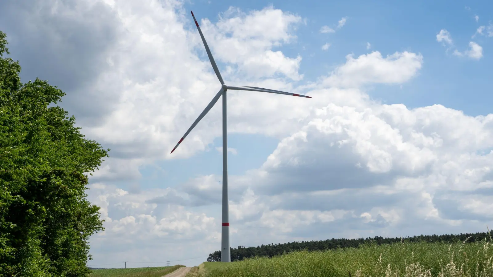 Zwischen Dietenhofen und Neuhof/Zenn steht der Bürgerwindpark Frankenhöhe. (Foto: Philipp Wohlfart)