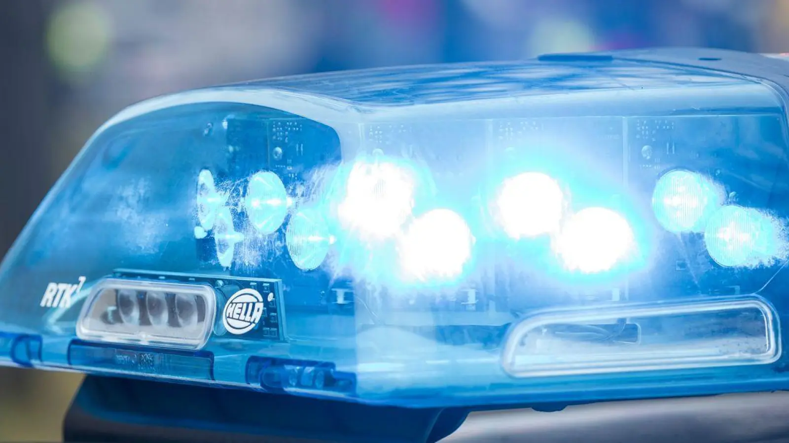 Die Polizei ermittelt, ob die Papiere zu den Schildkröten gefälscht sind. (Symbolbild) (Foto: Daniel Vogl/dpa)