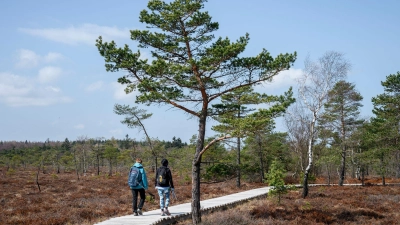 Zwei Frauen gehen auf dem Naturlehrpfad durchs Schwarze Moor in der Rhön am Dreiländereck Hessen, Bayern und Thüringen. (Foto: Daniel Vogl/dpa)