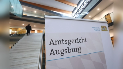 Weil er bei einem AfD-Sommerfest den Holocaust geleugnet haben soll, muss ein 64-Jähriger in Augsburg vor Gericht. (Symbolfoto) (Foto: Karl-Josef Hildenbrand/dpa)