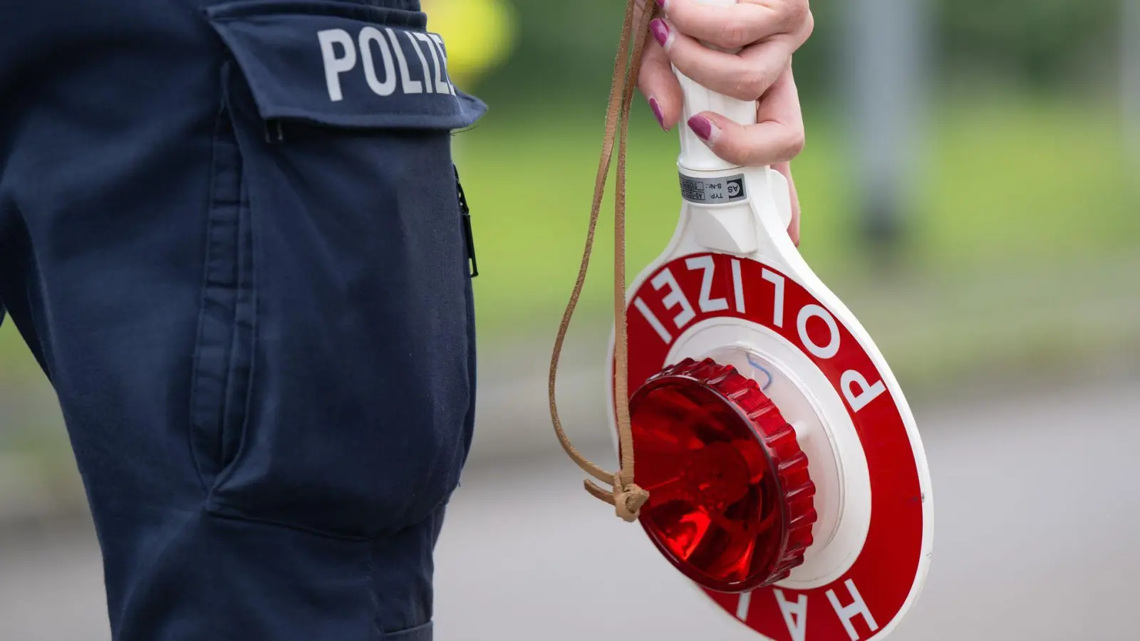 Die Polizei kontrollierte die Männer am Wochenende bei ihrer Einreise aus Tschechien. (Symbolbild) (Foto: Sebastian Kahnert/dpa)