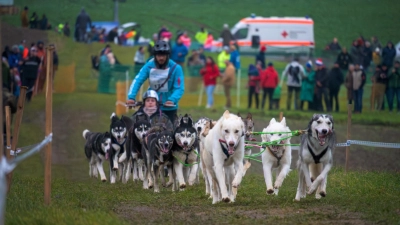 Mit 20 Hunden war Pierre Lachnit unterwegs - die höchste Anzahl an Hunden, die einen Schlitten gezogen haben. (Foto: René Chlopotowski)