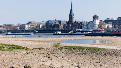 In Oberkassel am Rhein herrscht Trockenheit. (Foto: Rolf Vennenbernd/dpa)
