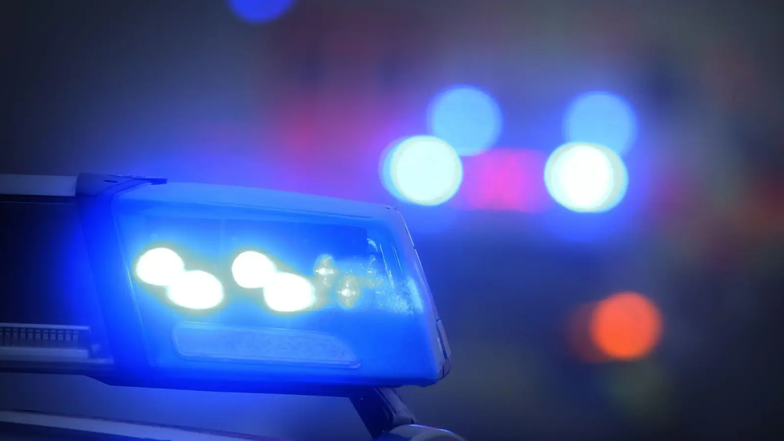 Die Polizei erteilte mehreren ungeladenen Gästen Platzverweise. (Symbolbild) (Foto: Karl-Josef Hildenbrand/dpa)