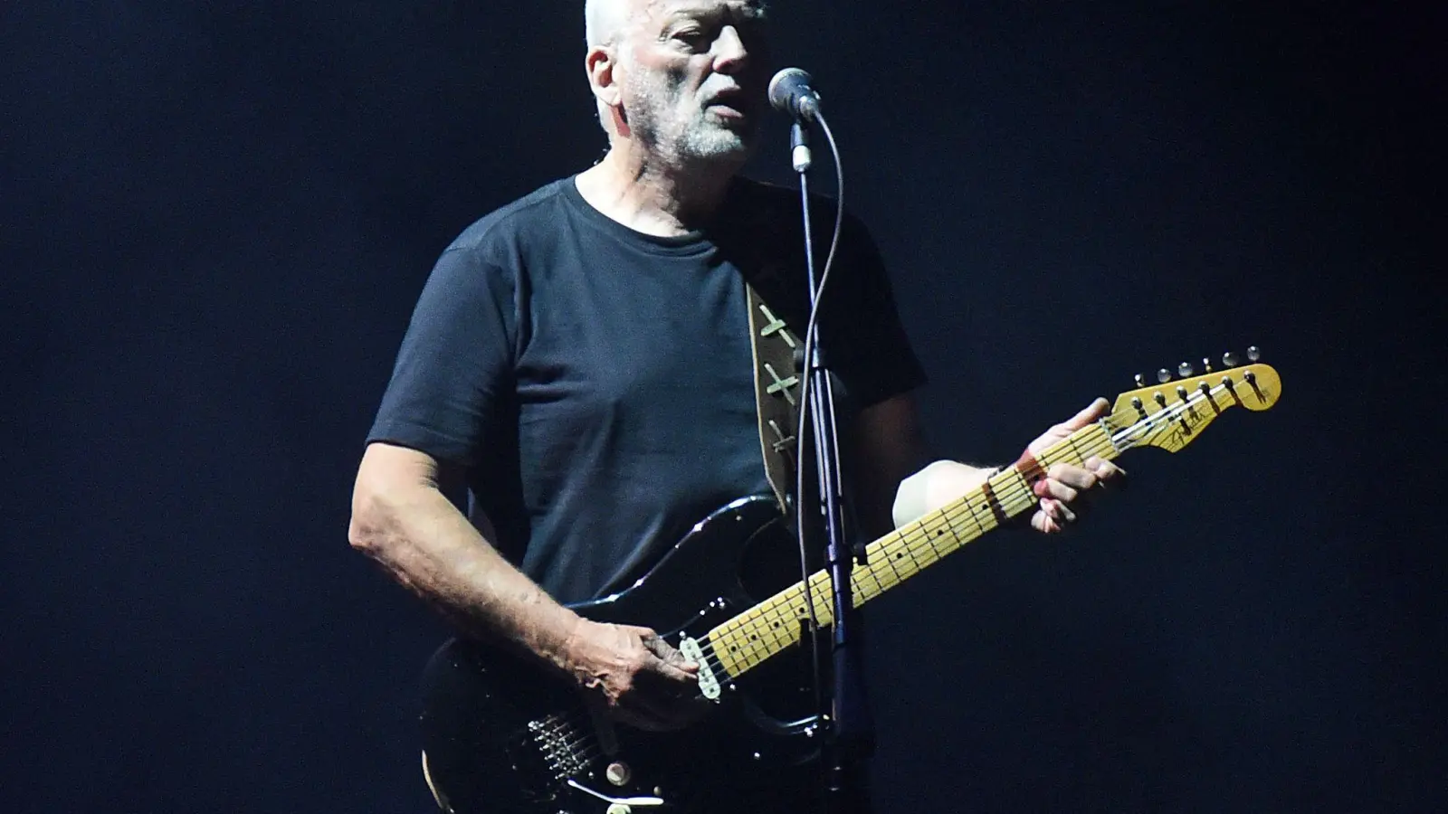 David Gilmour verzückt Fans auf der ganzen Welt mit seinem Gitarrenspiel. (Foto: picture alliance / dpa)