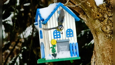 Noch liegt Schnee, aber bald beginnt die Brutzeit – höchste Zeit, um Nistkästen aufzuhängen. (Foto: Stefan Jaitner/dpa/dpa-tmn)