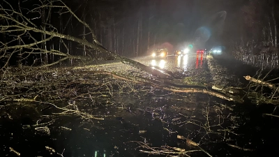 Ein umgestürzter Baum blockierte bei Ansbach die Staatsstraße 1066. (Foto: Gudrun Bayer)